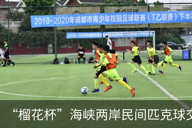 “榴花杯”海峡两岸民间匹克球交流赛在云南省玉溪开赛