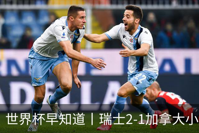 世界杯早知道丨瑞士2-1加拿大小组第一出线 波黑3-1卡塔尔