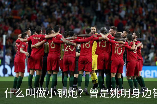 什么叫做小钢炮？曾是姚明身边替补！20年NBA赚2.82亿