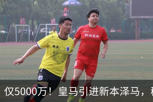 仅5000万！皇马引进新本泽马，穆帅4231战术升级，瞄准西甲欧冠双冠