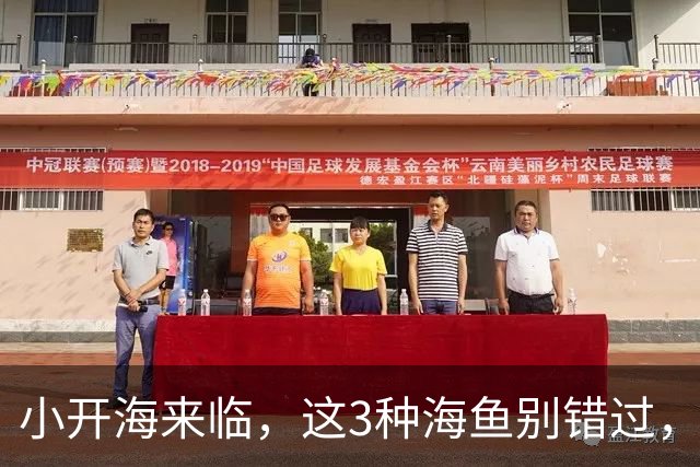 小开海来临，这3种海鱼别错过，无法人工养殖，价格便宜味道好！